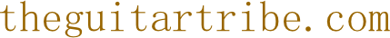 theguitartribe.com